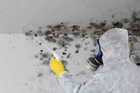 Best Emergency Mold Remediation  in Bliss Corner, MA